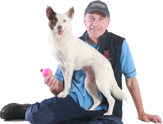 Jetpets Global Moves