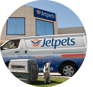 Jetpets Head Office