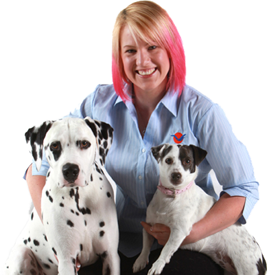 Jetpets Crate Hire