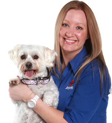 Jetpets safe and seamless domestic travel