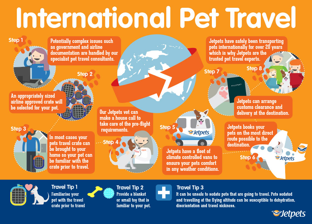 International Travel Jetpets Animal Transport