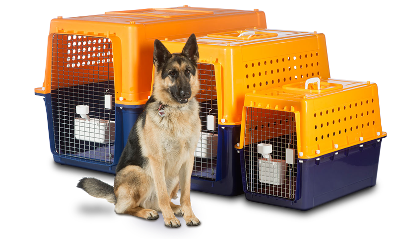 Jetpets Animal Transport | Jetpets - The Pet Travel People