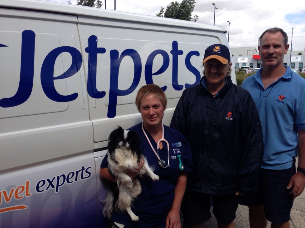 Yoshi the dog found safe in Preston - Jetpets pet rescue