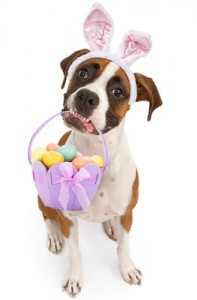 Easter with our Furry Friends