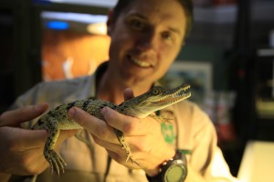 This month it was our pleasure to relocate some of the world's most endangered crocodiles from Melbourne Zoo to their native homeland, the Philippines.