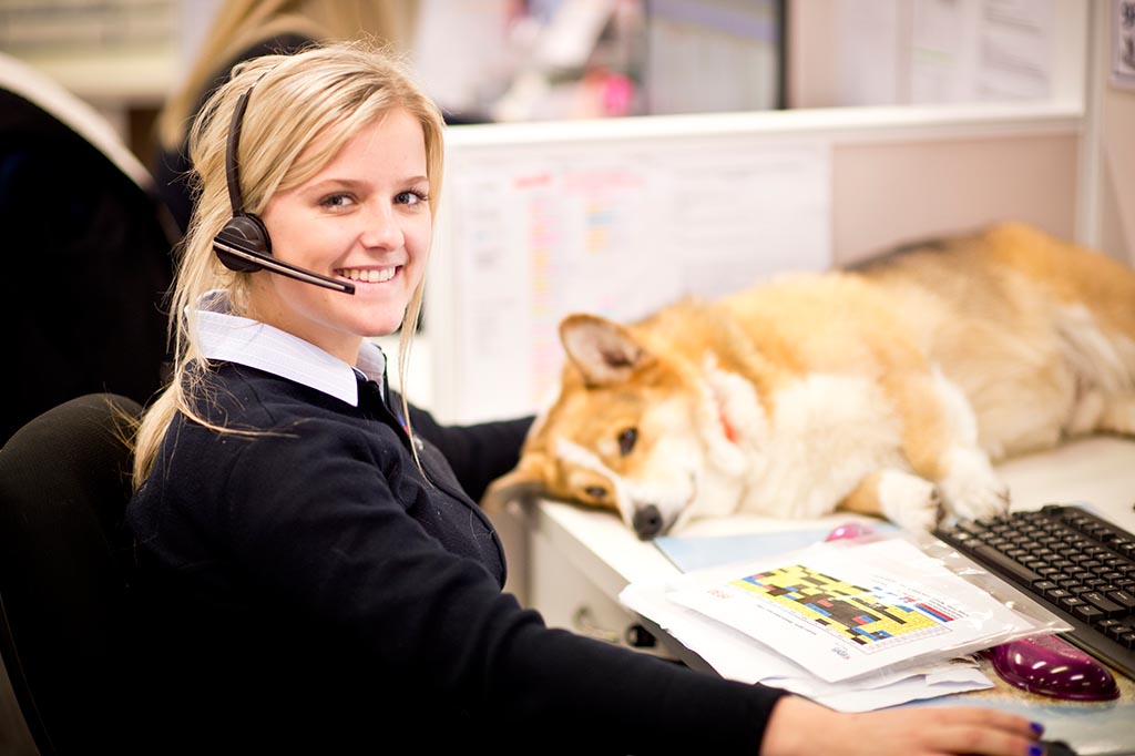 Jetpets Brisbane