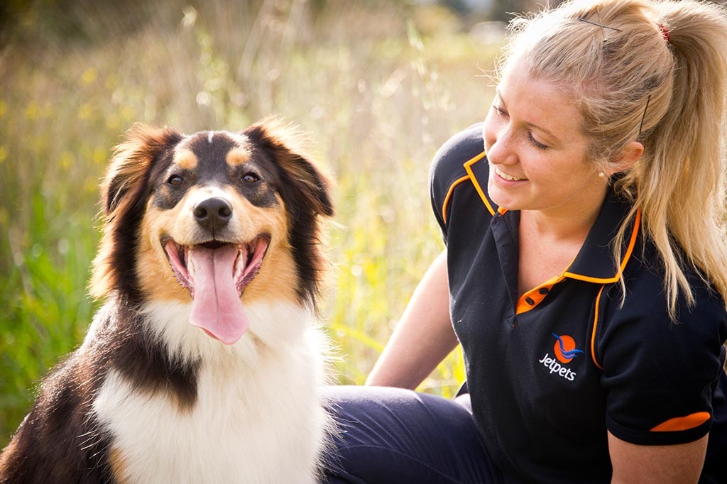 International Pet Transport Services Jetpets AU