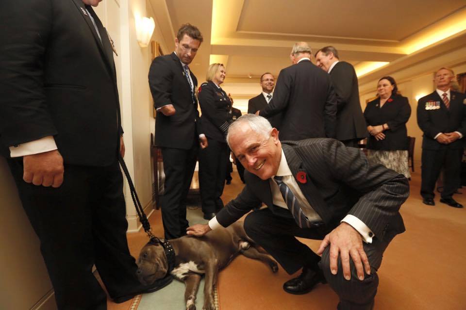 Trigger meeting Prime Minister Malcolm Turnbull at a Remembrance Day Commemoration.