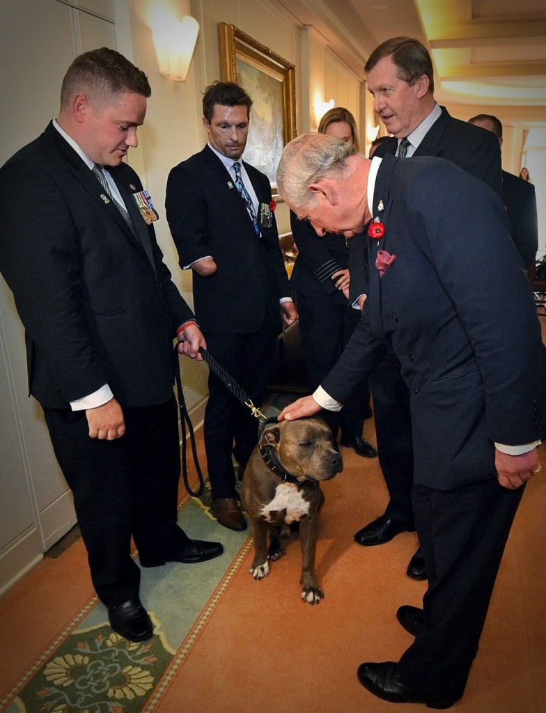 Trigger meeting Prince Charles at a Remembrance Day Commemoration.