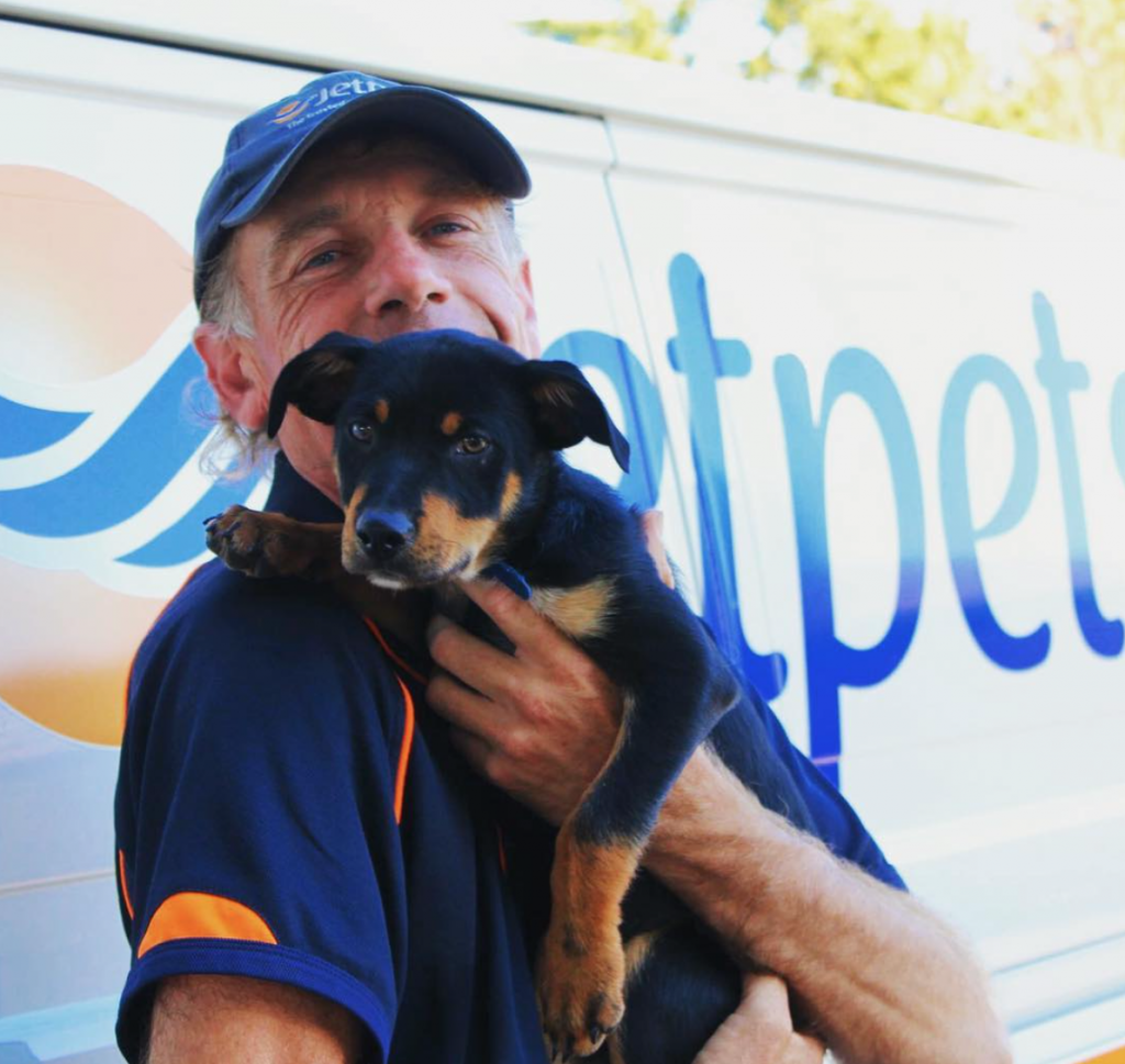 Meet Dave’s New Puppy Jet - Jetpets Pet Transport