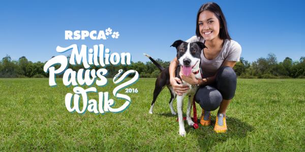 RSPCA Million Paws Walk 2016 | Million Paws | Jetpets | News | International Pet Carrier
