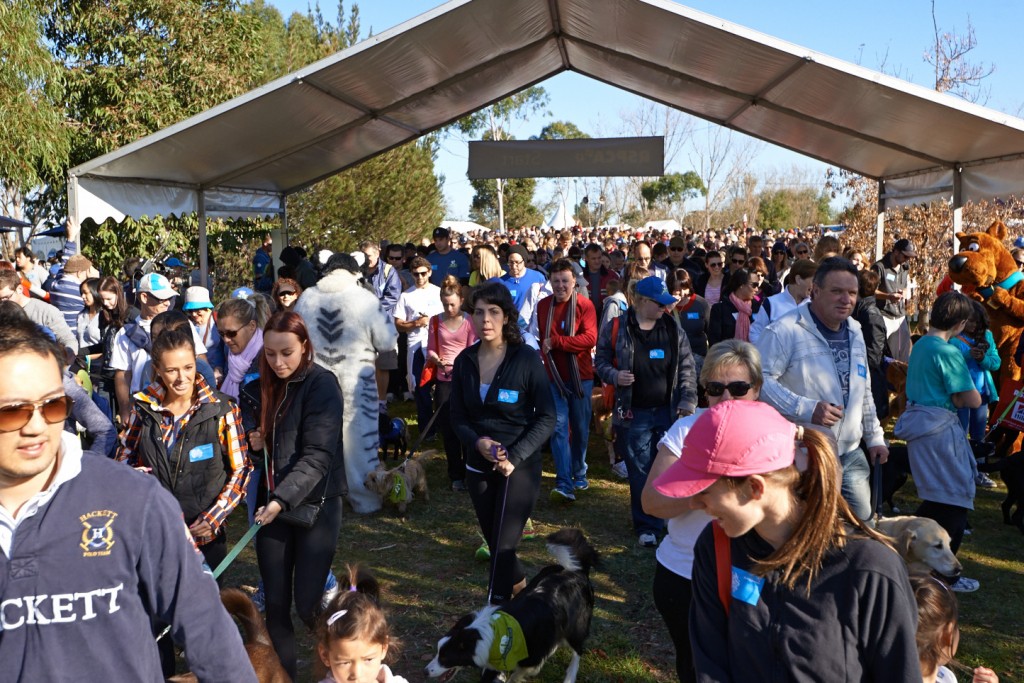 RSPCA Million Paws Walk 2016 | Million Paws | Jetpets | News | International Pet Carrier