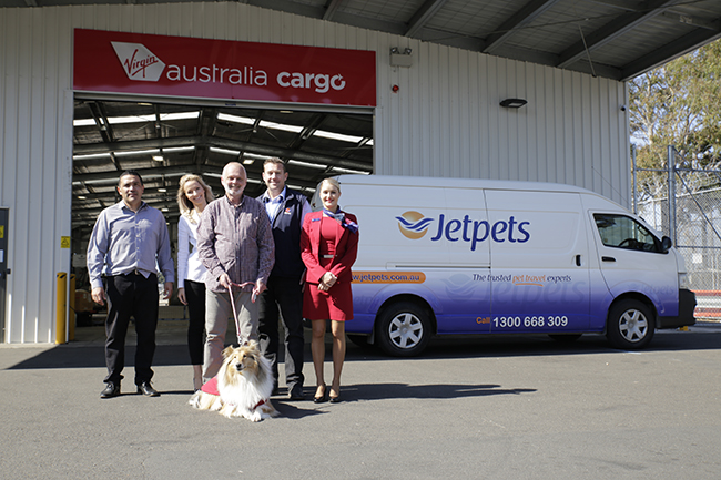 Our Rescue Partnership With Virgin Australia Cargo | Virgin Australia | Jetpets | Airline Approved Dog Crates Australia 