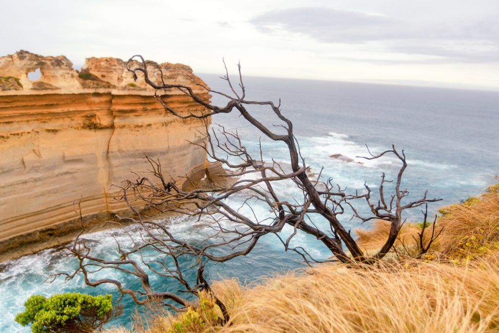 Great Ocean Road, Australia. View Overlooking The Pacific Ocean. | Great Ocean Road | Jetpets | Pet Transportation 