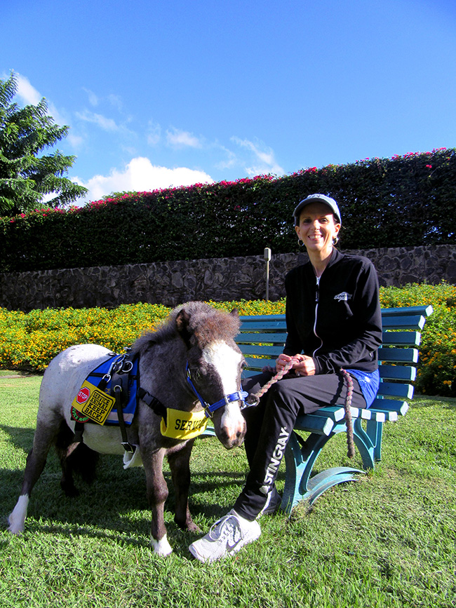 Sprinter | Horse | International Pet Transport | Hawaii | Pet Movers | Pets International