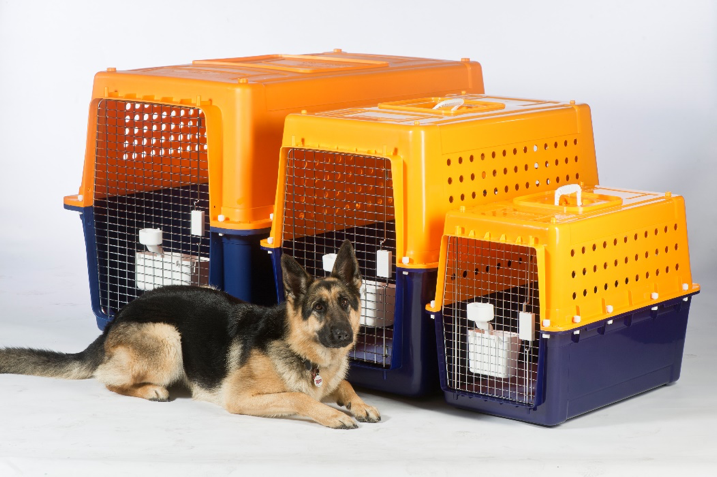 Transporting Your Pet Is Easy – with Jetpets | Jetpets | Travel Consultants | Airline Approved Travel Crate