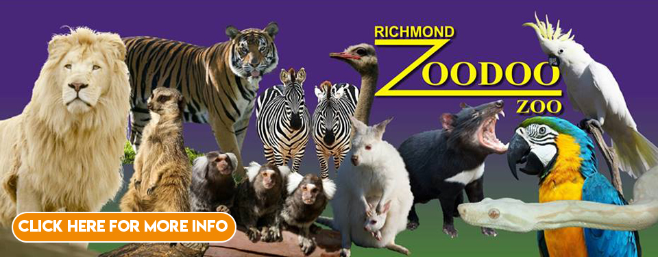 http://zoodoo.com.au/