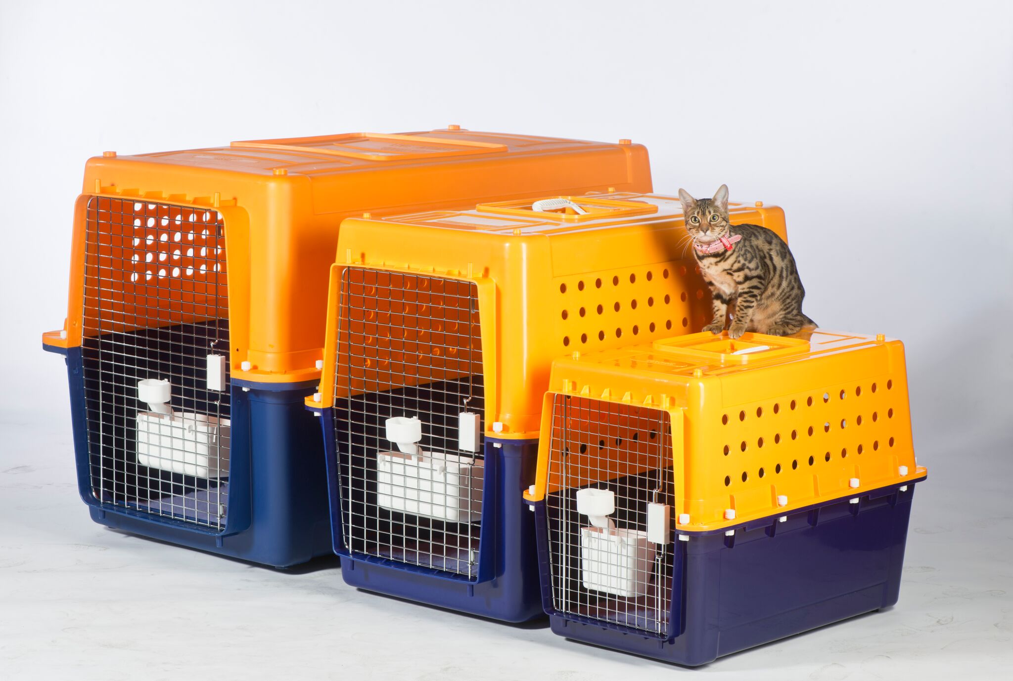 pet cage for air travel