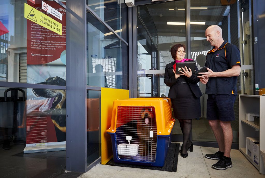 A Day In The Life Of Our Pet Handlers Ez Pass