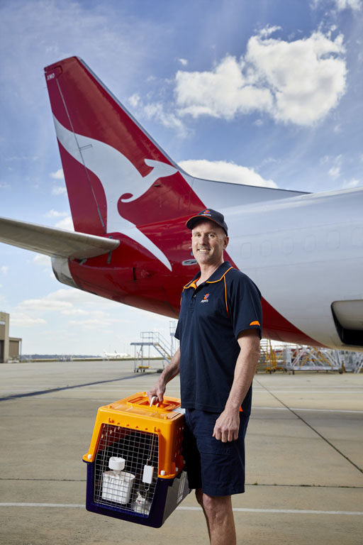 Airline Partners Pet Transport Jetpets AU