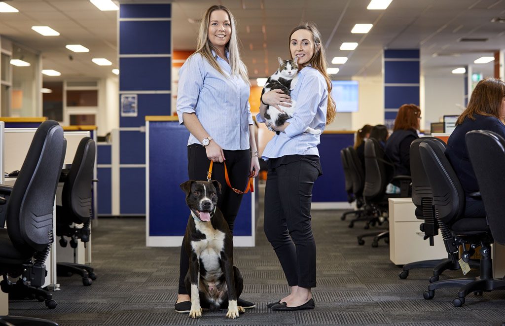 International Pet Transport to Hong Kong Jetpets AU