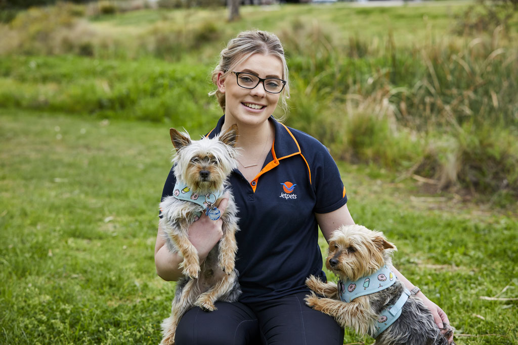 Brisbane Interstate & International Pet Transport Jetpets AU