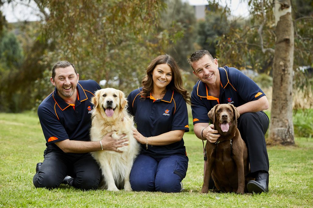 International Pet Transport to Hong Kong Jetpets AU