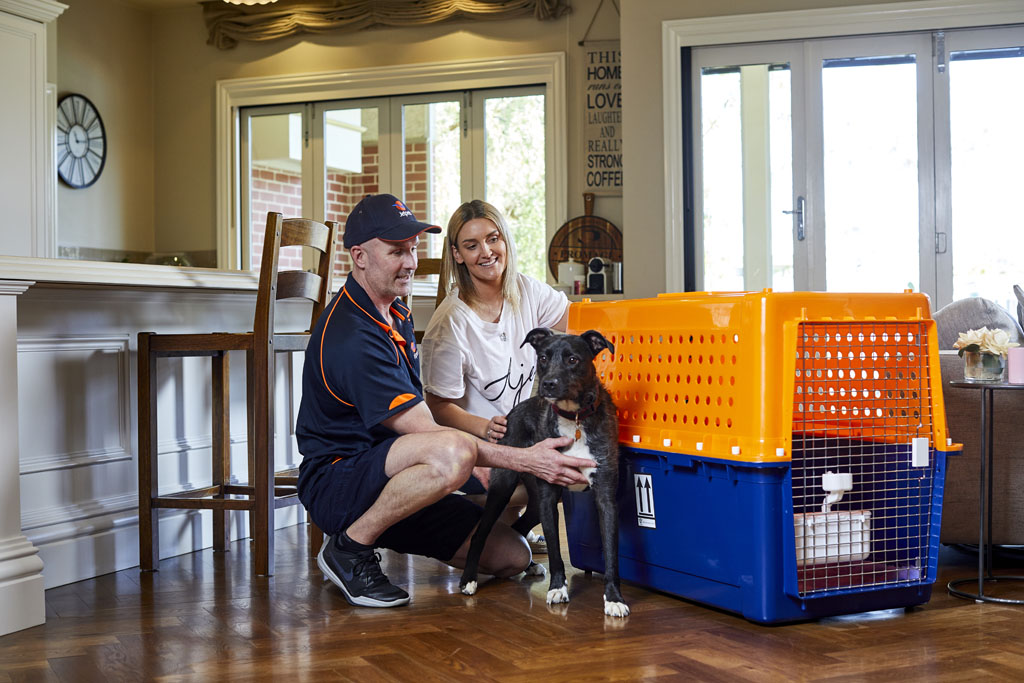  Travel Crate Size Calculator - Airline Approved Jetpets AU