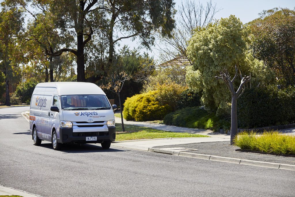 A Day In The Life Of Our Pet Handlers Ez Pass