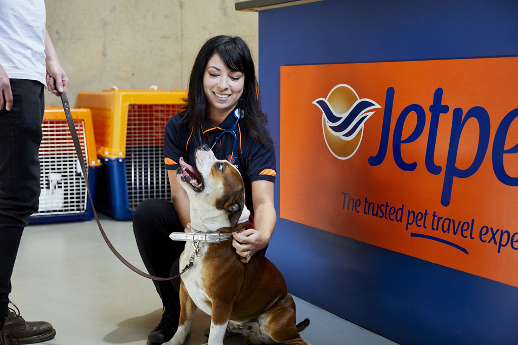 Pet Shippers International Pet Shipping Costs Transportation