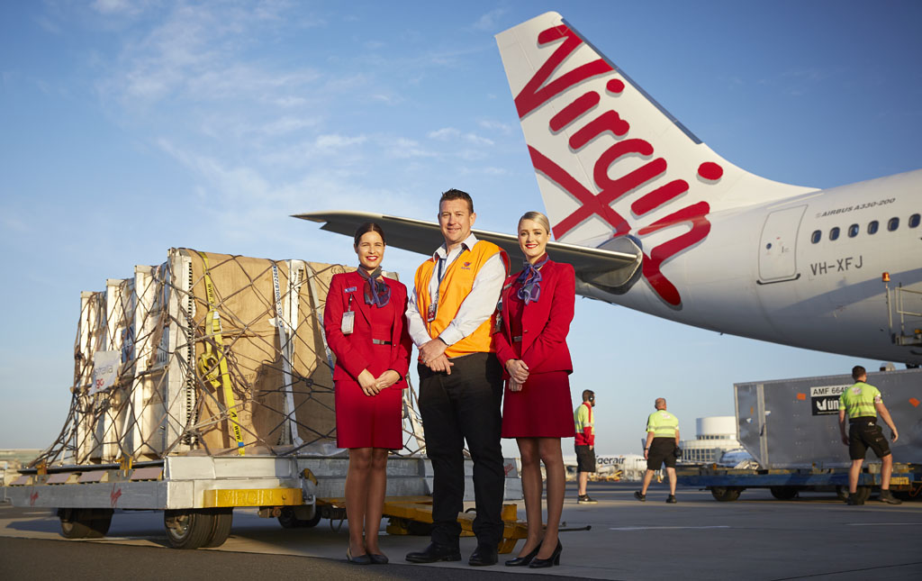 virgin pet transport