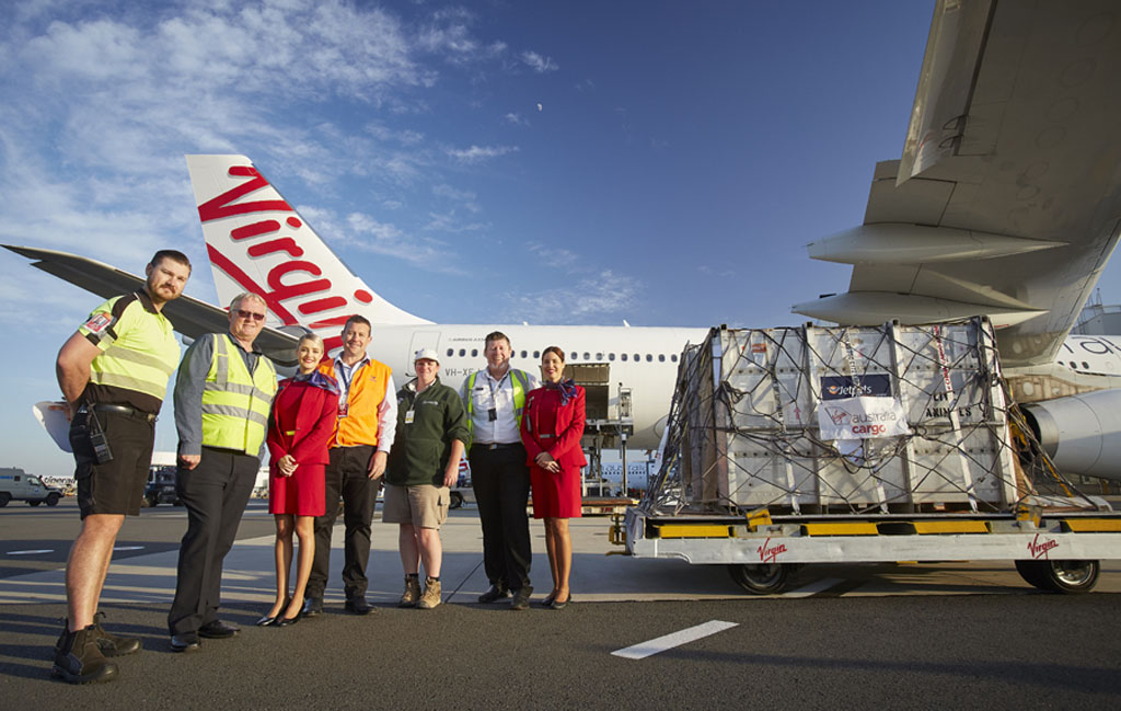 virgin pet transport