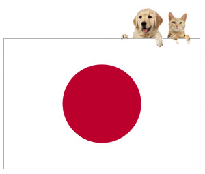 International Pet Transport to Japan