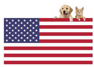 International Pet Transport to USA - Jetpets AU International Pet Transport to USA - Jetpets AU