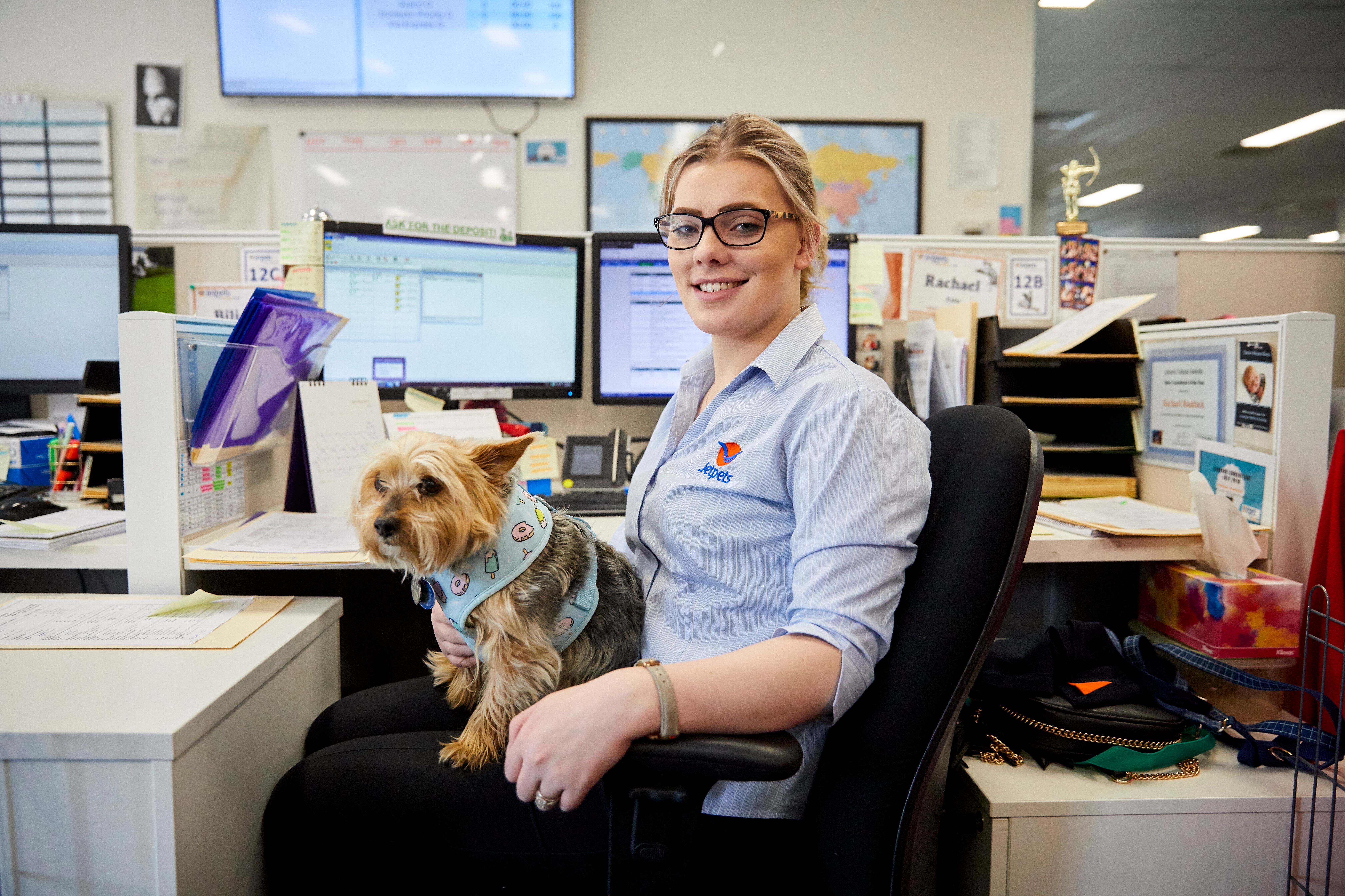 6 Benefits of a Pet-Friendly Workplace - Jetpets AU