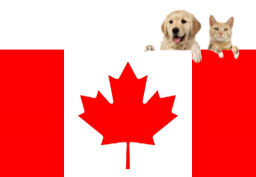 Pets returning home from Canada - Jetpets AU Pet Travel Consultants Pets returning home from Canada - Jetpets AU Pet Travel Consultants