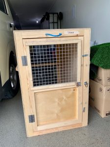 logan travel crate to nz
