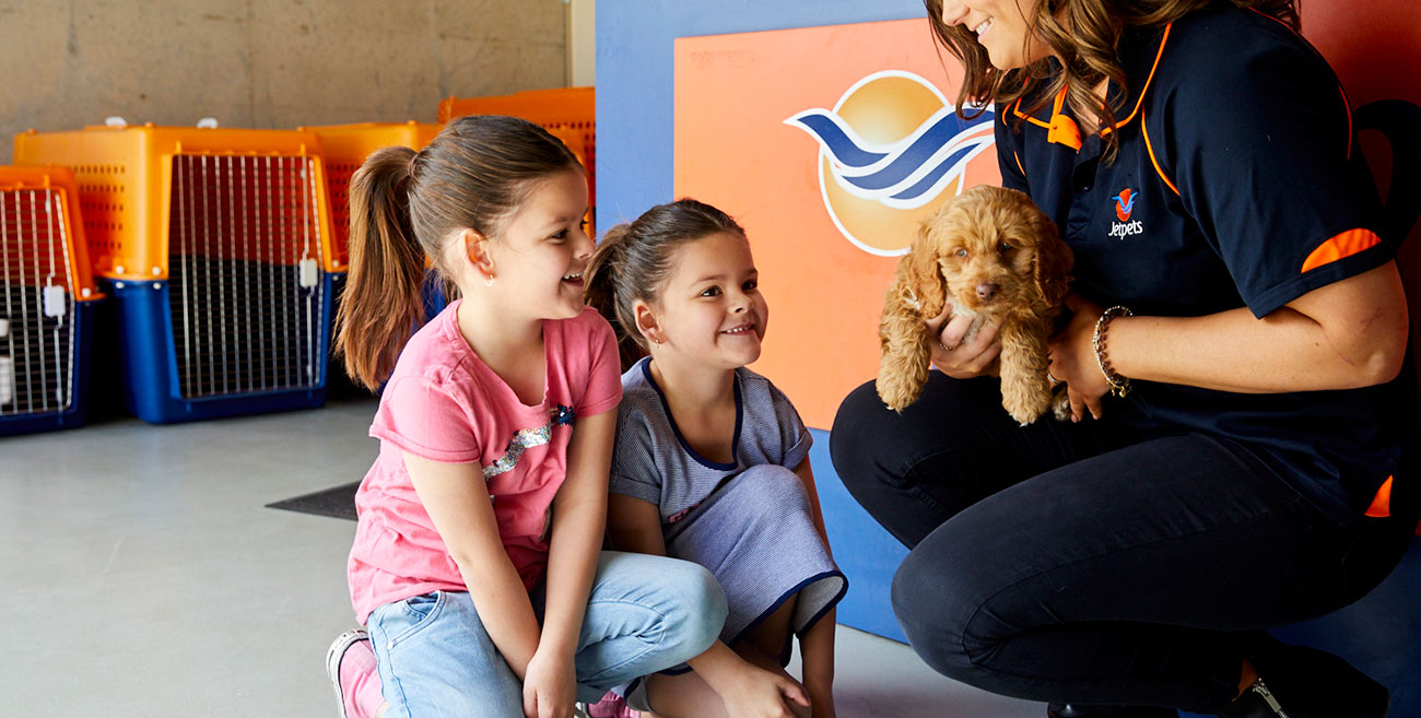 International Pet Transport to USA Jetpets AU