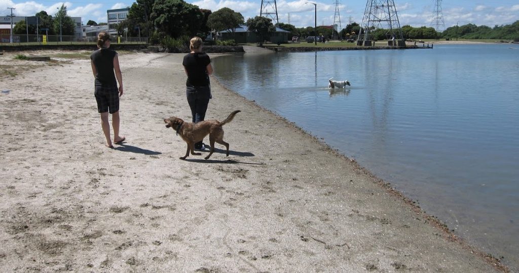 onehunga bay reserve dog friendly auckland