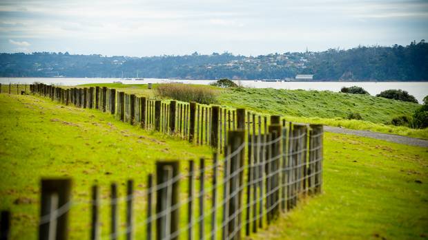 meola dog park auckland