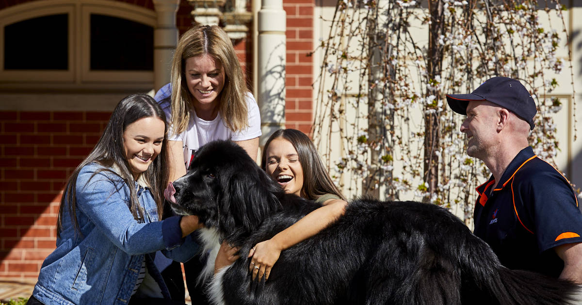 A Pet Handler reunites a pet with their family after their Jetpets travel