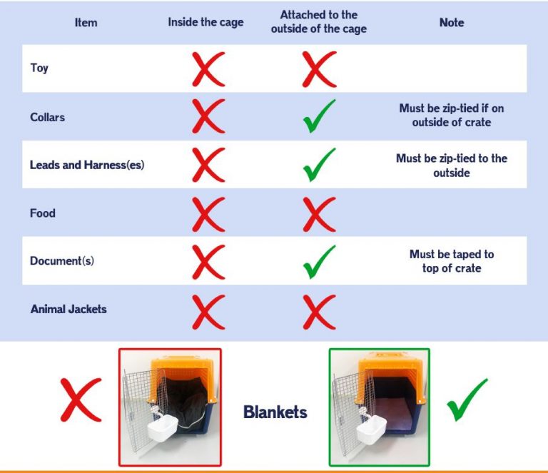 What to Put in Your Pet's Travel Crate Dos & Don'ts Jetpets AU