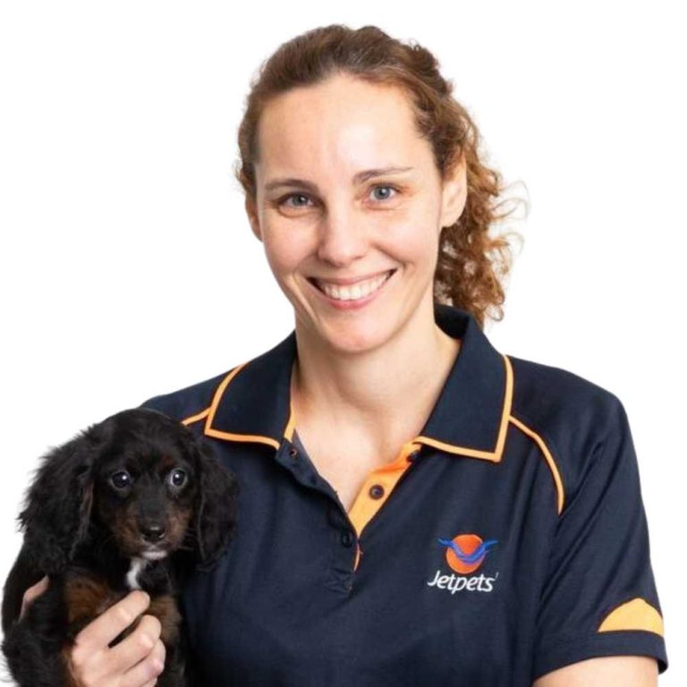 Sydney Pet Transport Interstate & International Jetpets Australia