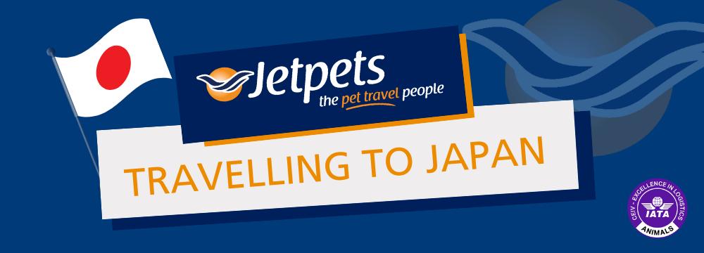 Jetpets prices hot sale