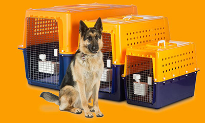 dog travel crates australia